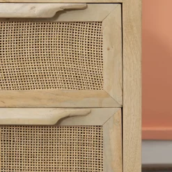 Linon Janie Rattan 2-Drawer Cabinet -The Novogratz Shop 5649435 ALT2