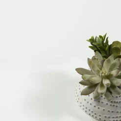 Tvilum Bright 2-Drawer Shoe Cabinet Floor Decor 11 Tvilum Bright 2-Drawer Shoe Cabinet Floor Decor -The Novogratz Shop 5815143 ALT12