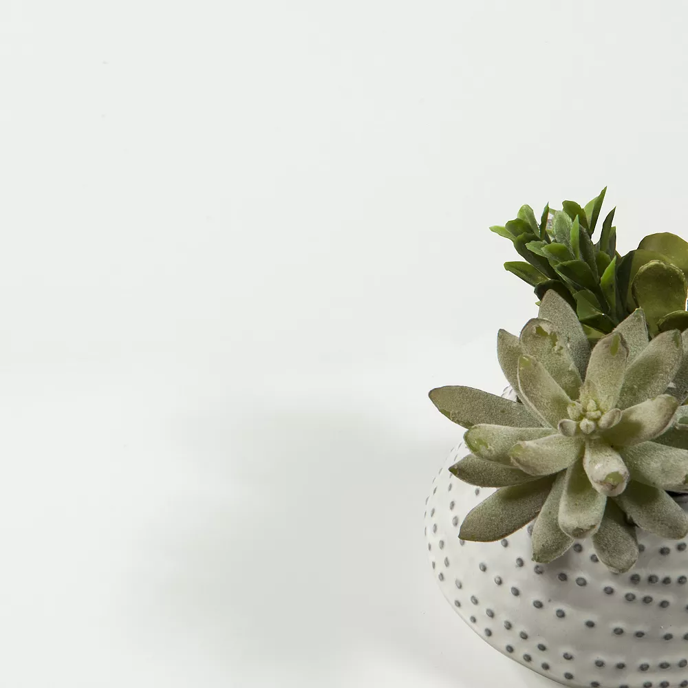 Tvilum Bright 2-Drawer Shoe Cabinet Floor Decor 6 Tvilum Bright 2-Drawer Shoe Cabinet Floor Decor - Image 4