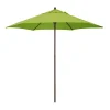 Astella 9-ft. Wood-Grained Market Push Lift Patio Umbrella -The Novogratz Shop 5884150 Lime Green