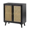 Hulala Home Lawa Solid And Manufactured 2-Door Accent Cabinet -The Novogratz Shop 6179830 Black